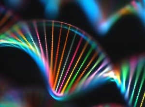 等温扩增技术有哪些？